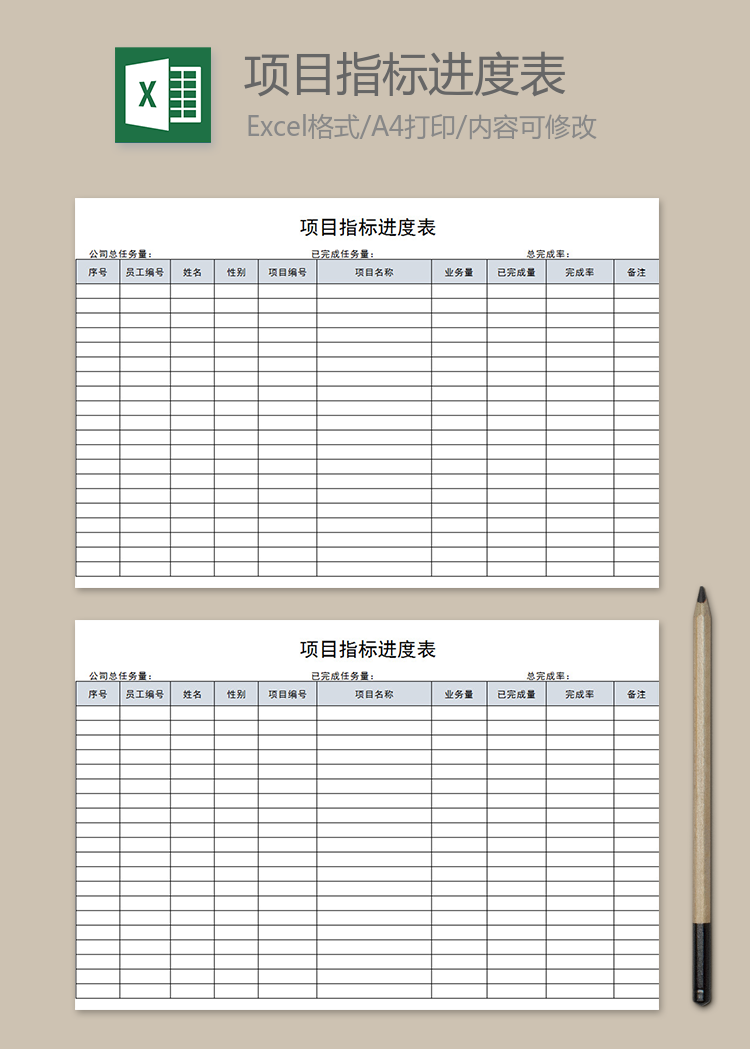 項目指標進度表