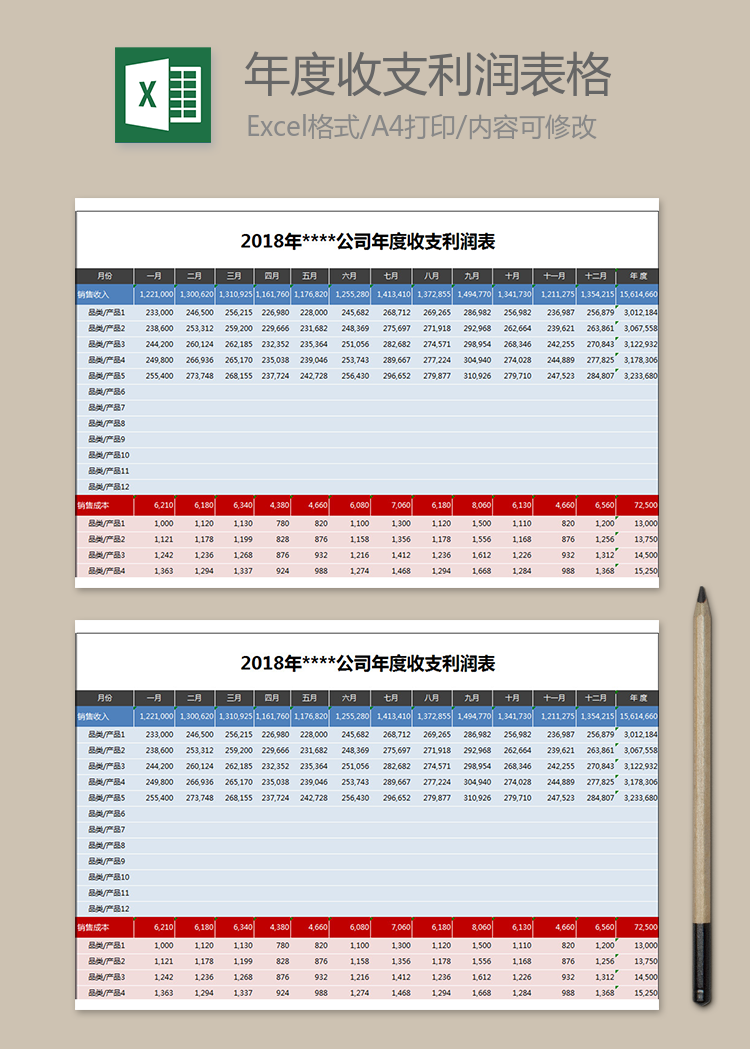 公司年度收支利潤表格