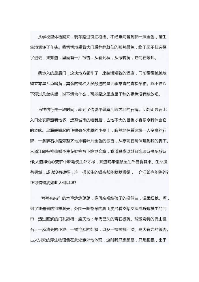 被銀杏吸引