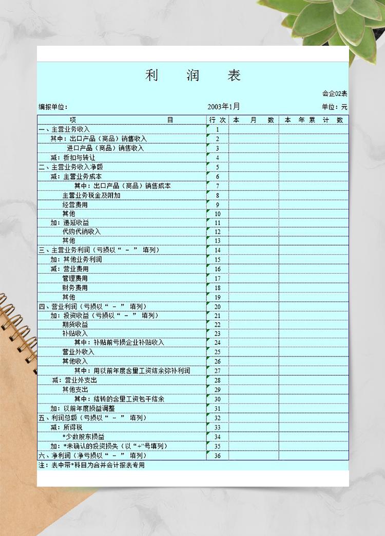 公司利潤表