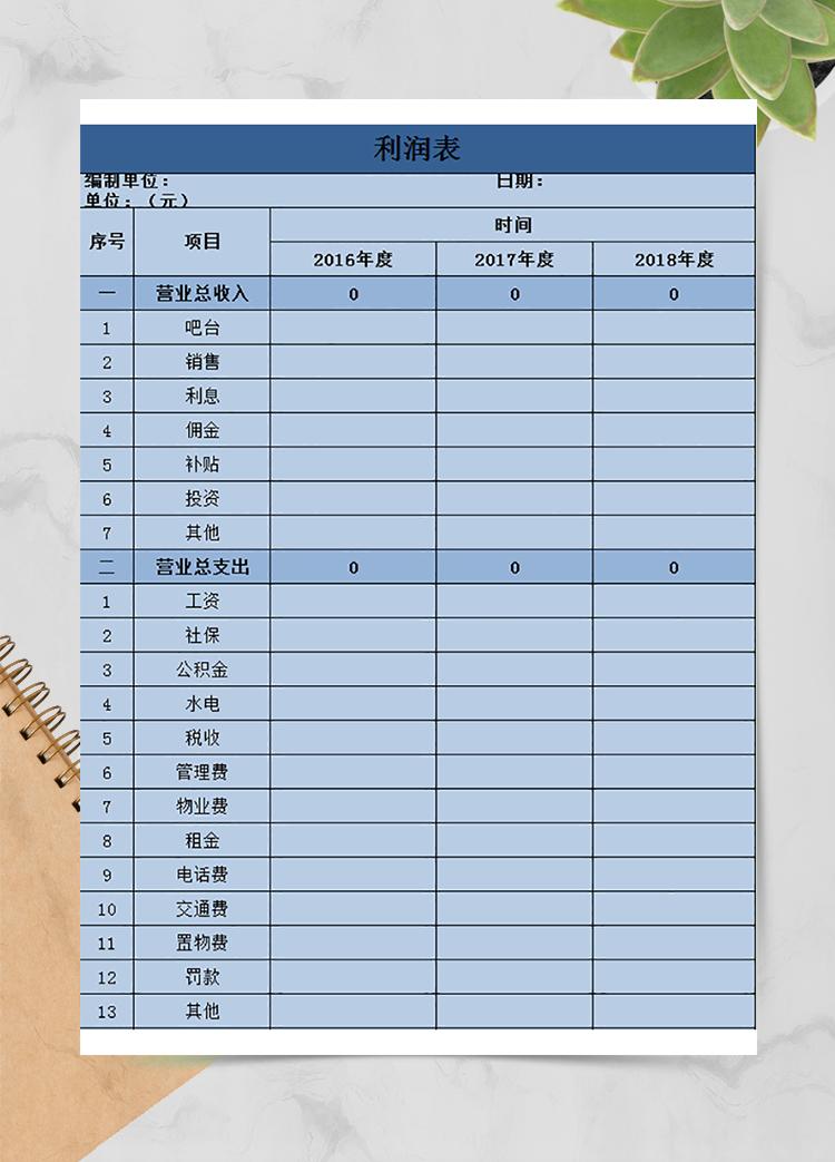 藍色公司利潤表