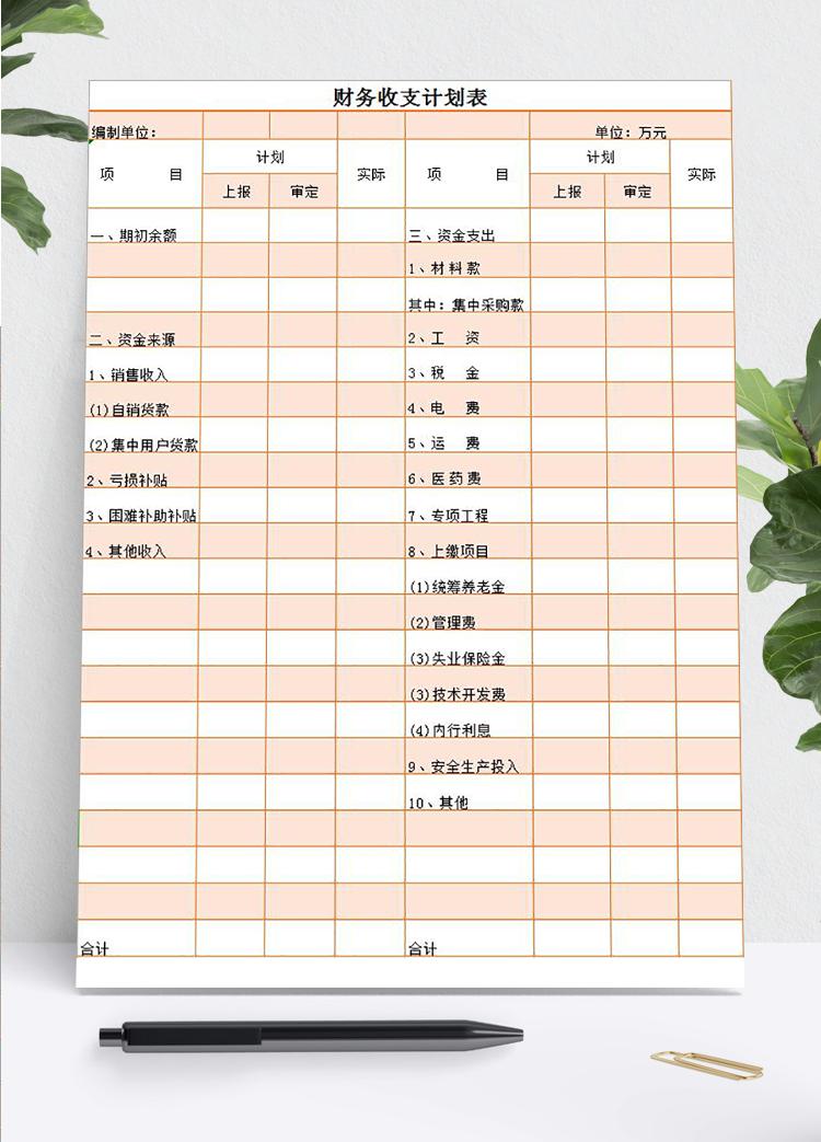 粉色財務收支計劃表