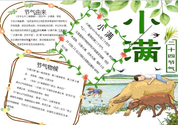 簡約清新小滿手抄報Word模板