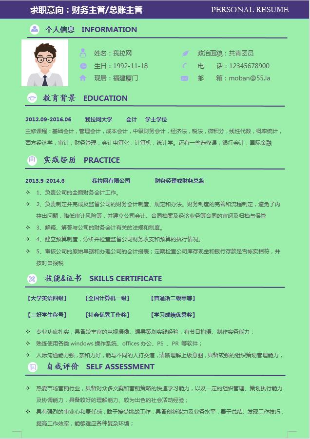 綠色財務主管個人簡歷模板