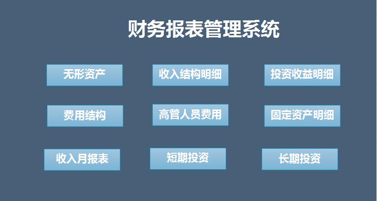 藍色系財務(wù)報表管理系統(tǒng)excel表格