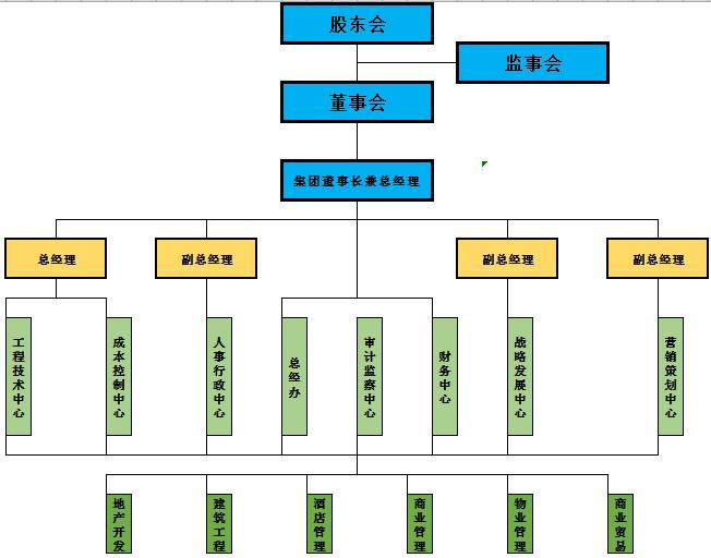 彩色集團公司組織架構圖excel模板