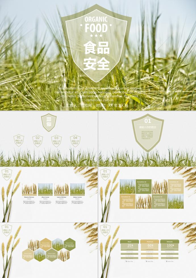 小清新綠色麥子食品安全PPT模板