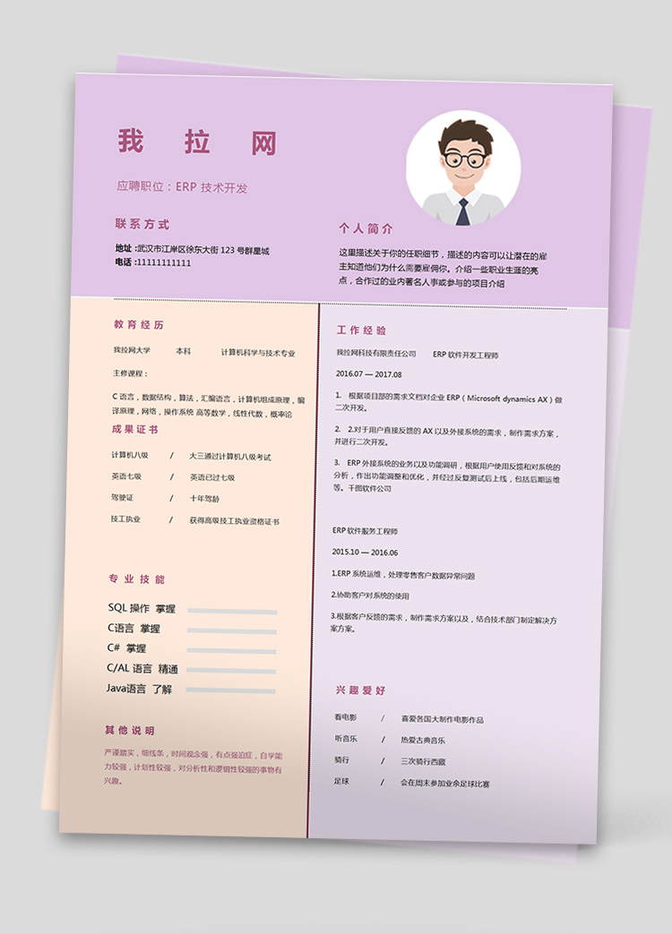 彩色精美軟件開發技術負責人簡歷