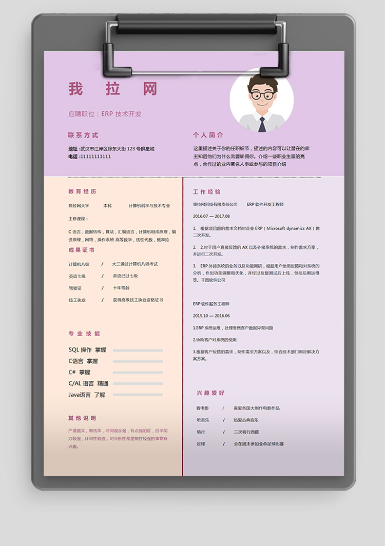 彩色精美軟件開發技術負責人簡歷-1