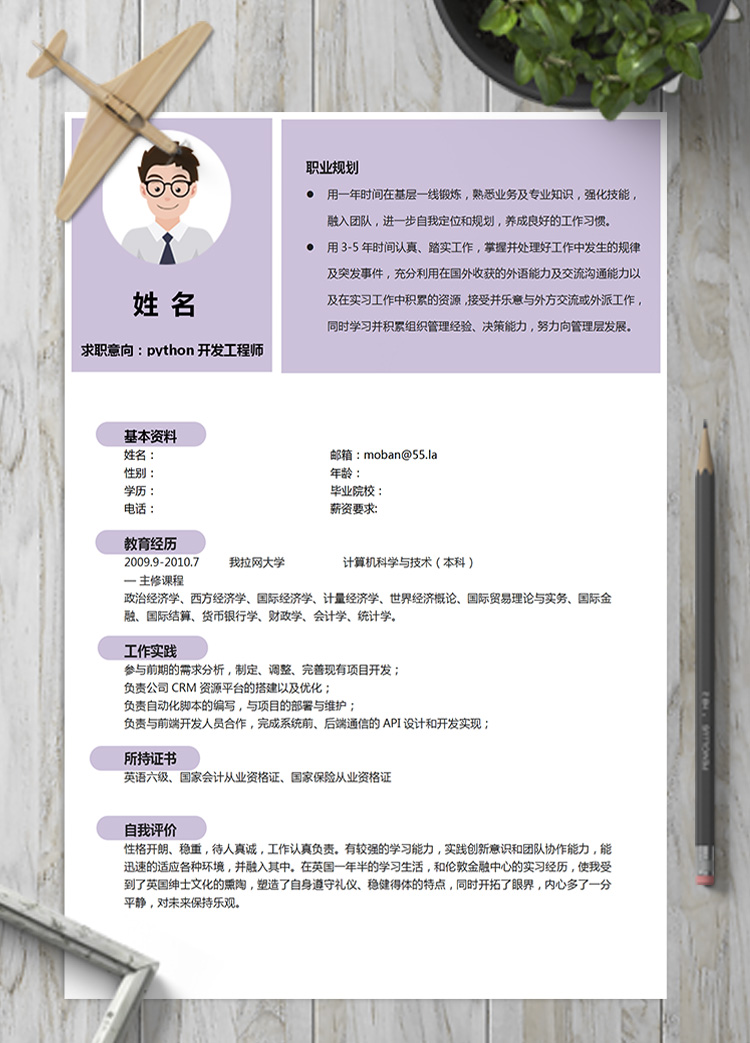 紫色系python開發工程師簡歷模板