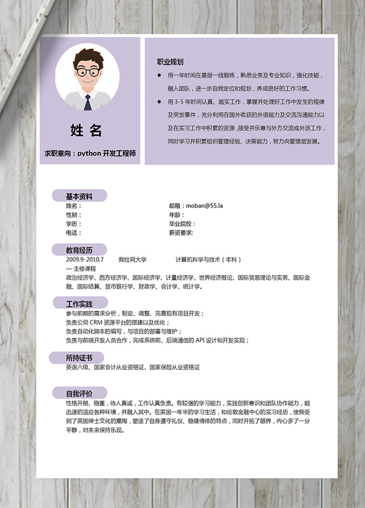 紫色系python開發工程師簡歷模板-1