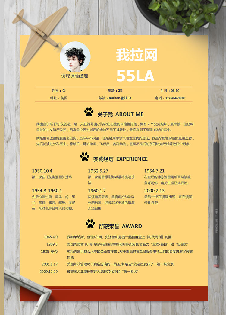 玉米黃精美風(fēng)資深保險員簡歷模板