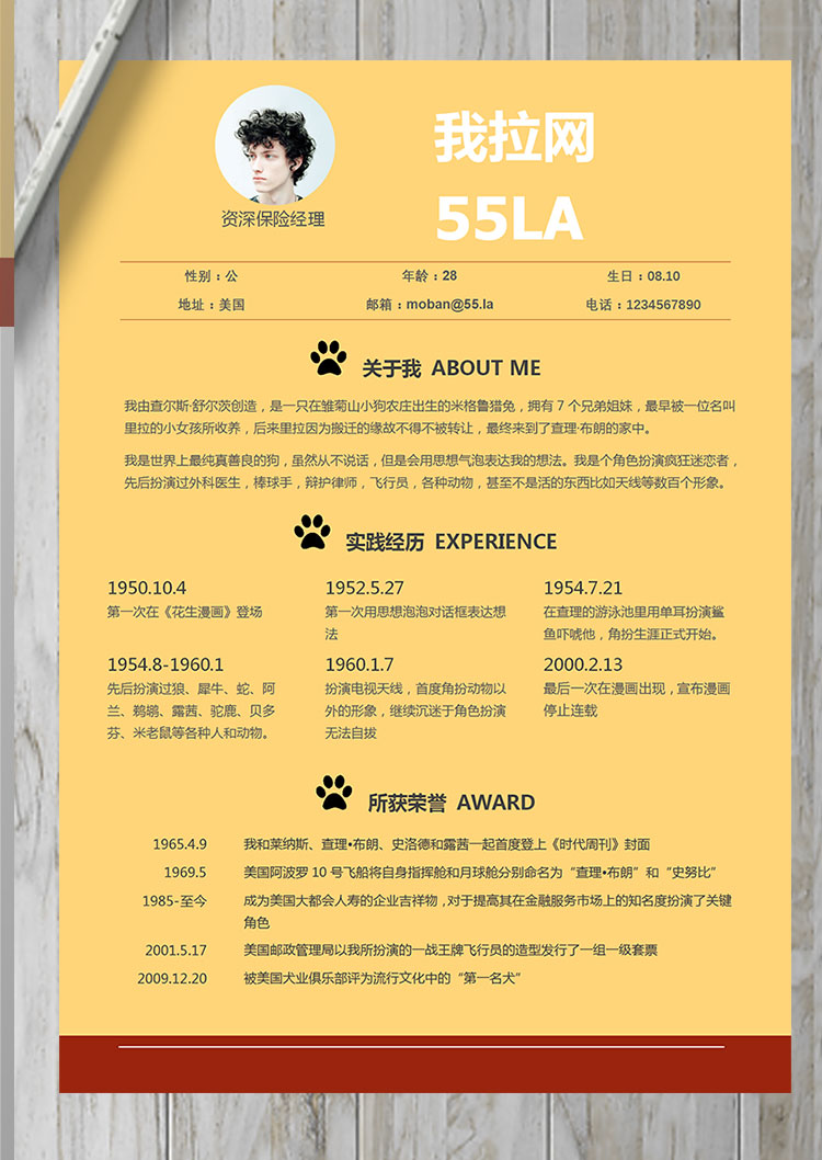 玉米黃精美風(fēng)資深保險員簡歷模板-1