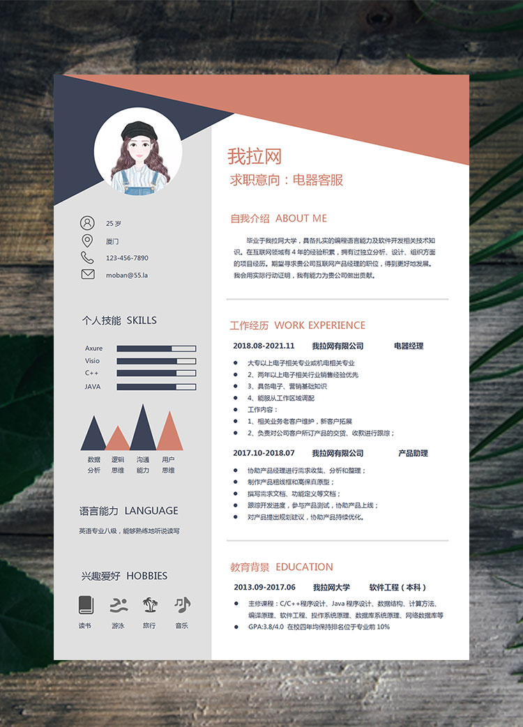 多彩創(chuàng)意風(fēng)格電器客服簡(jiǎn)歷模板