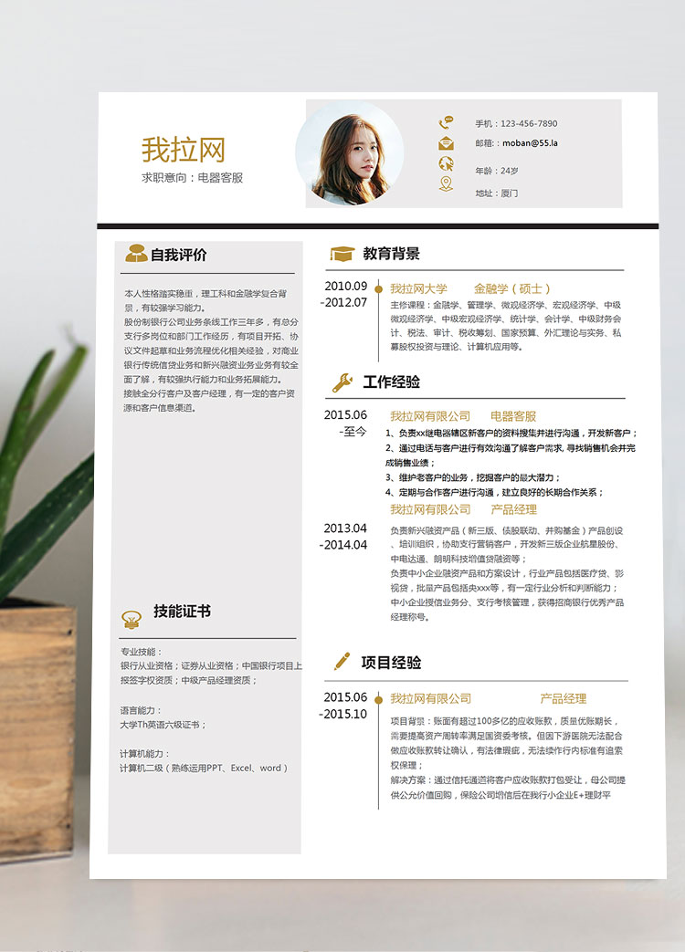 金色創意風電器客服簡歷模板