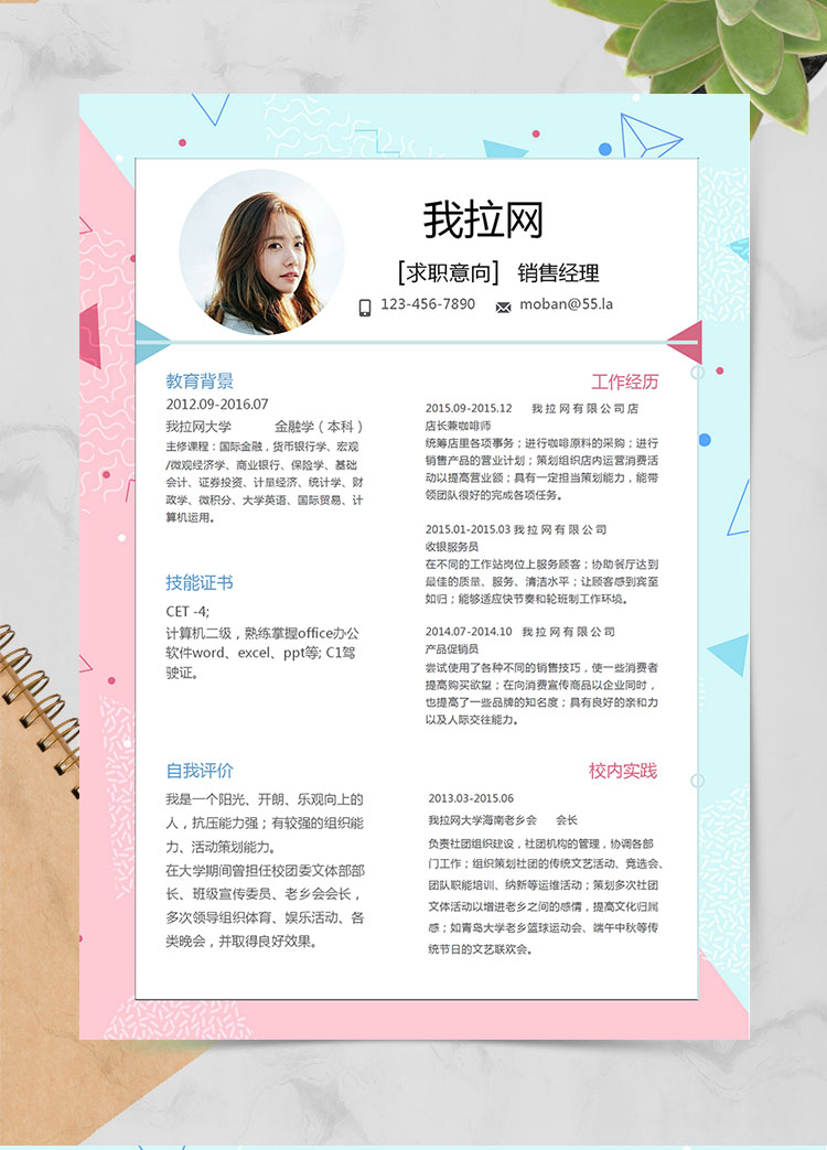 彩色系圖形風格銷售經理簡歷模板