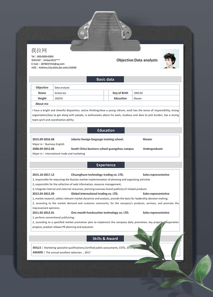 淡灰色極簡風(fēng)數(shù)據(jù)分析師英文簡歷