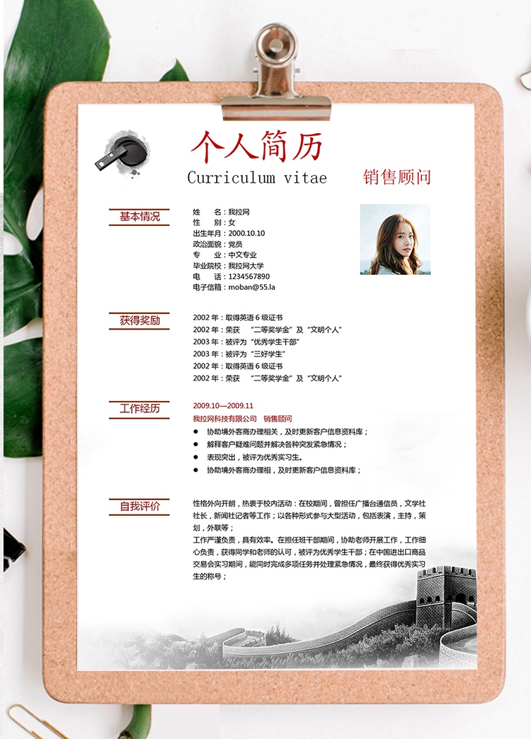 水墨中國風(fēng)銷售顧問個人求職簡歷模板-1