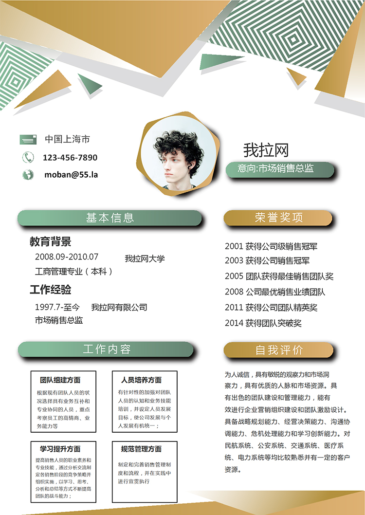 多彩創意市場銷售總監求職簡歷模板-1