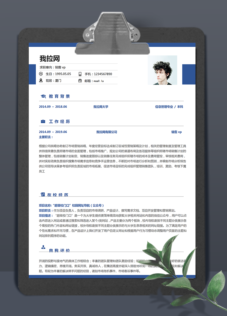 深藍色系銷售vp個人簡歷模板