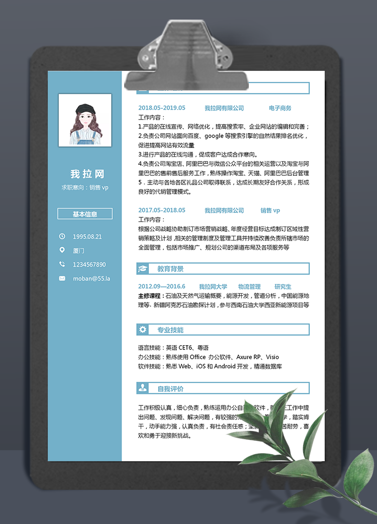 蔚藍色銷售vp個人簡歷模板